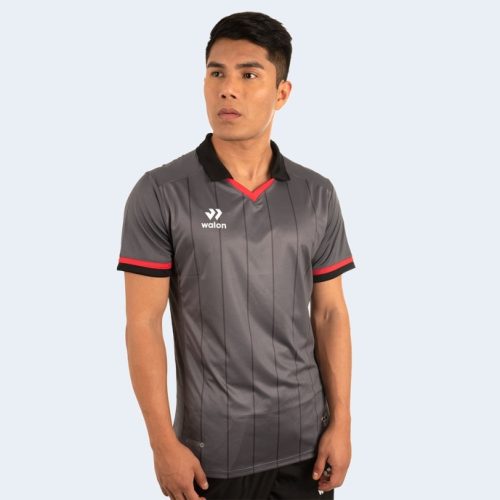 POLO CASUAL ALEXIS HOMBRE